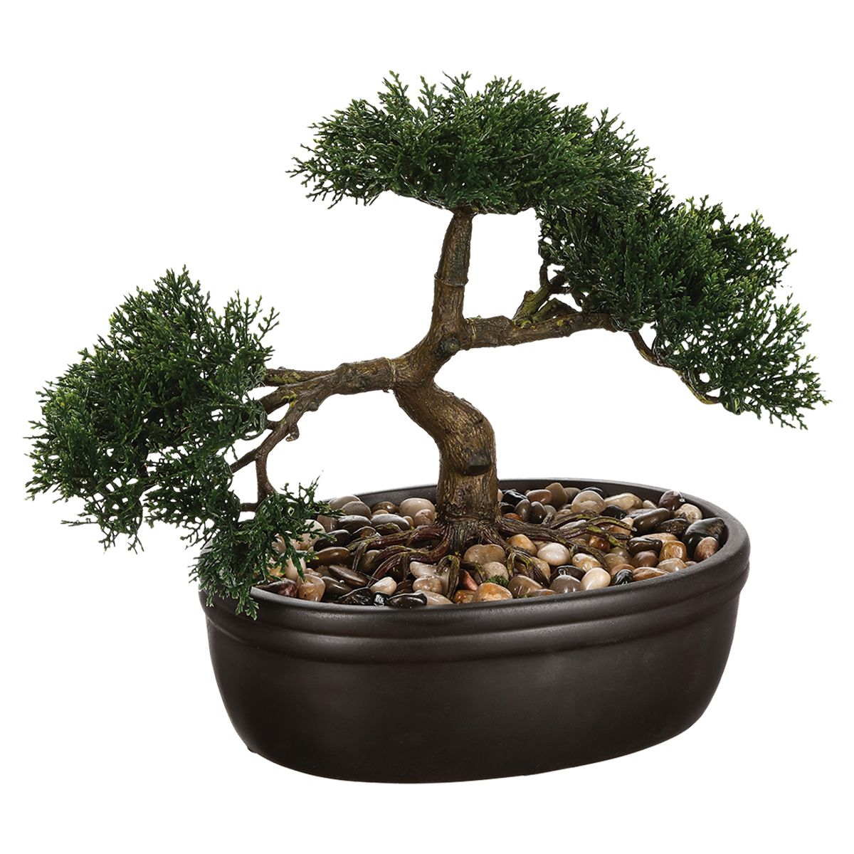 Image of Bonsai decorativo in ceramica