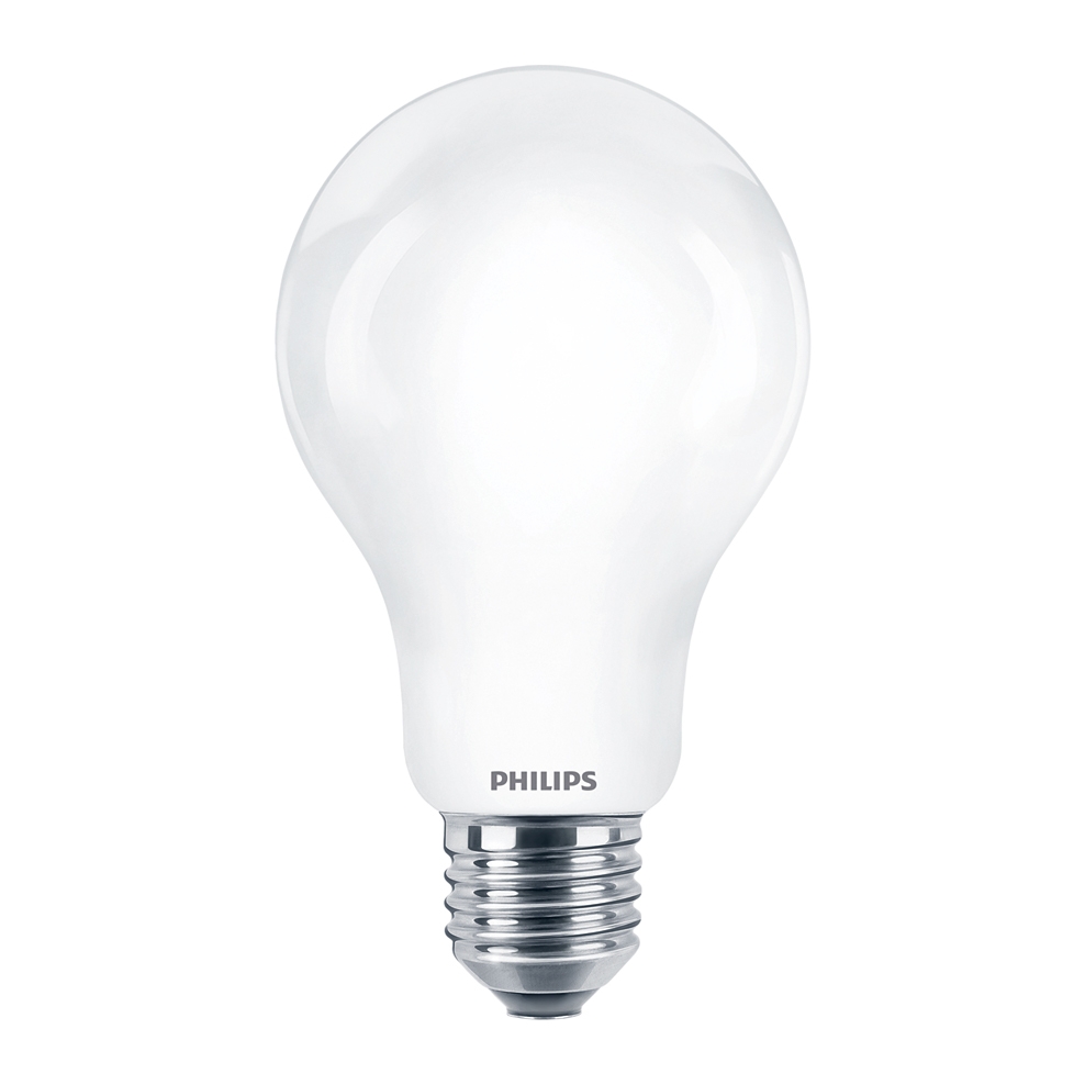 Image of Lampadina LED goccia 120W E27