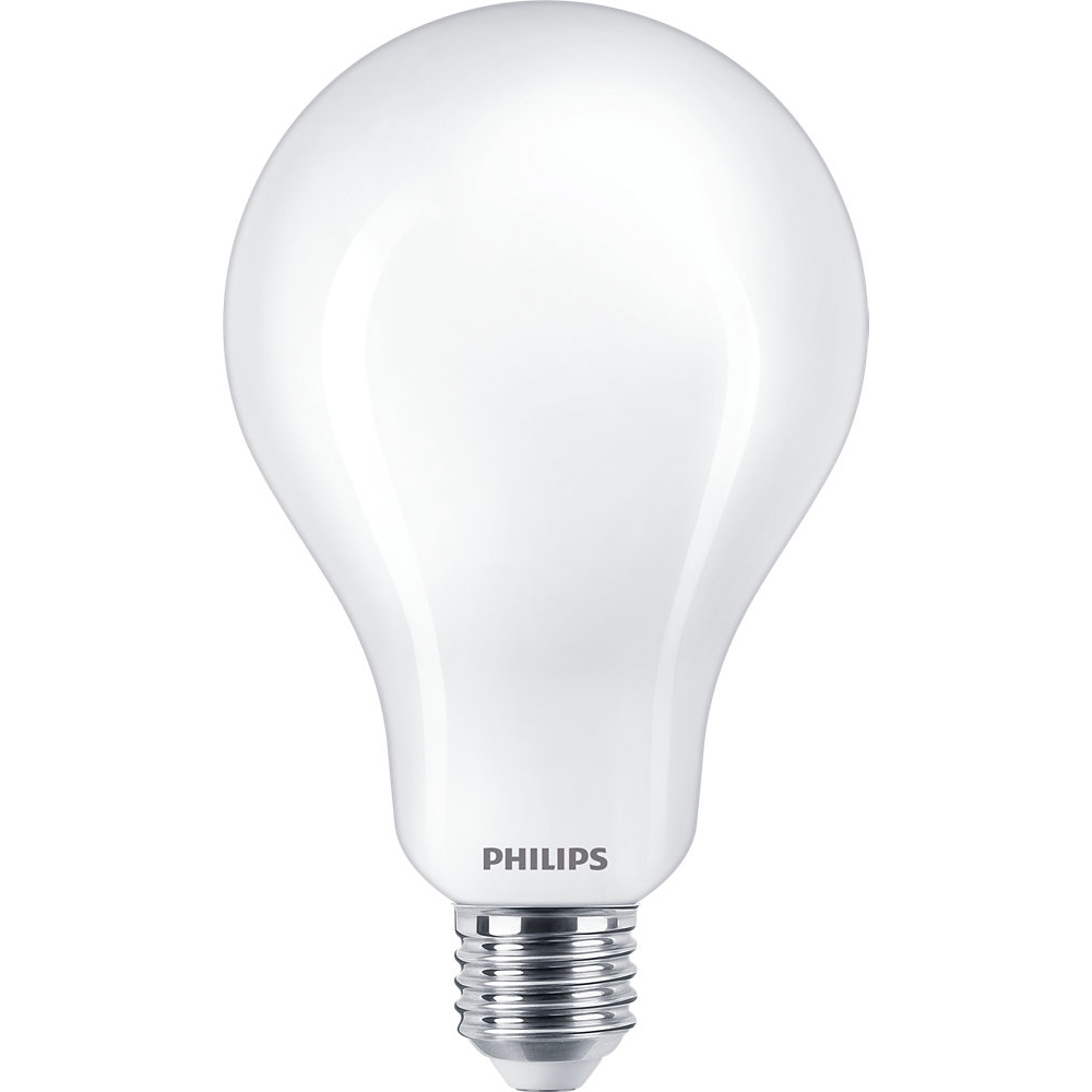 Image of Lampadina LED Philips A95 E27