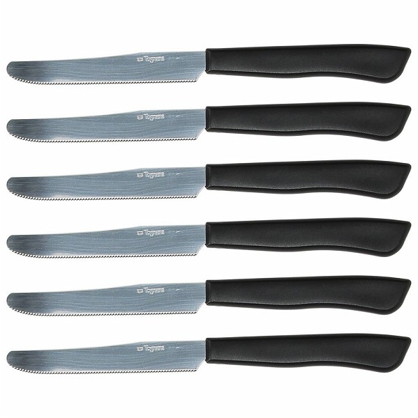 Set 6 coltelli da tavola Tognana