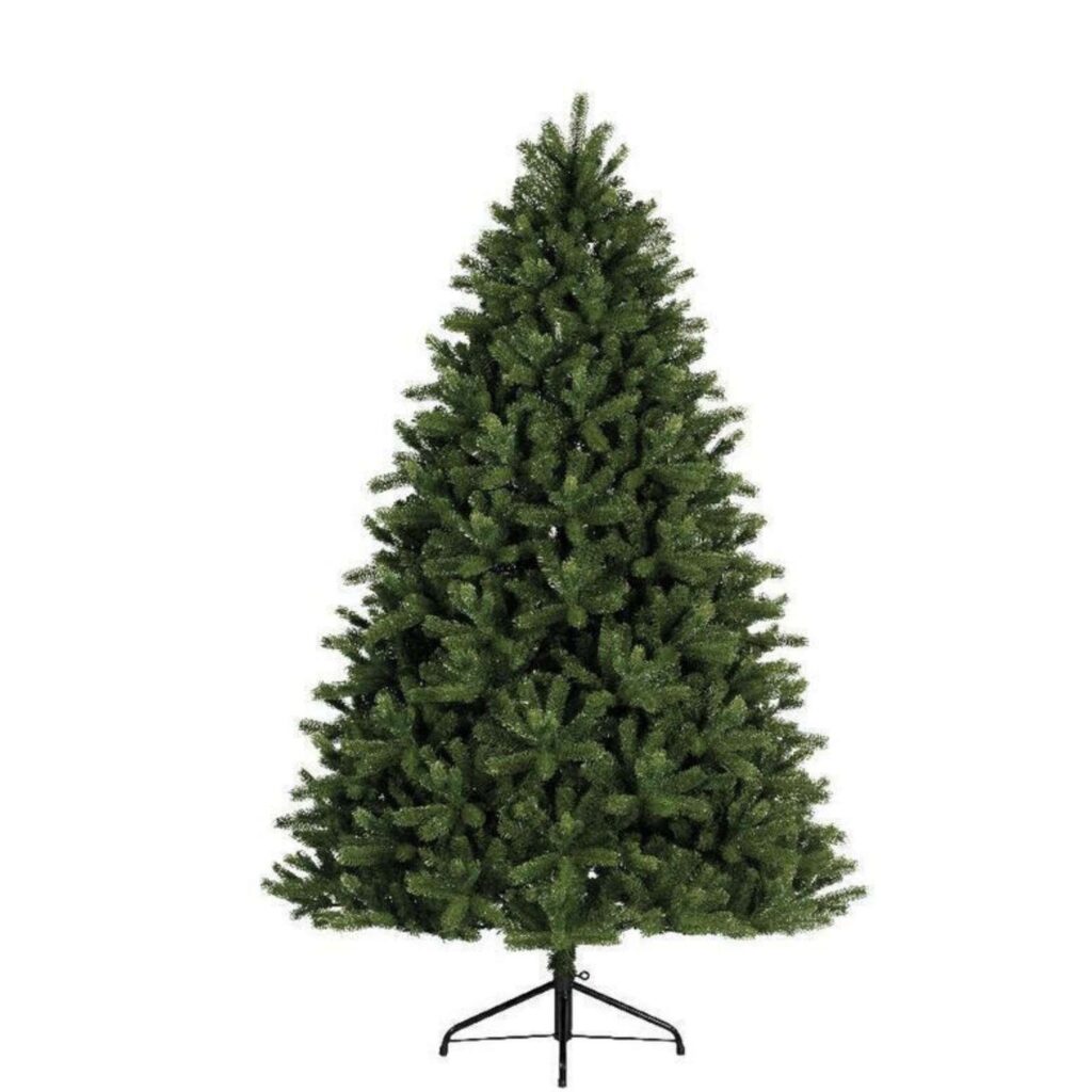 Albergo verde Freiburg Pine